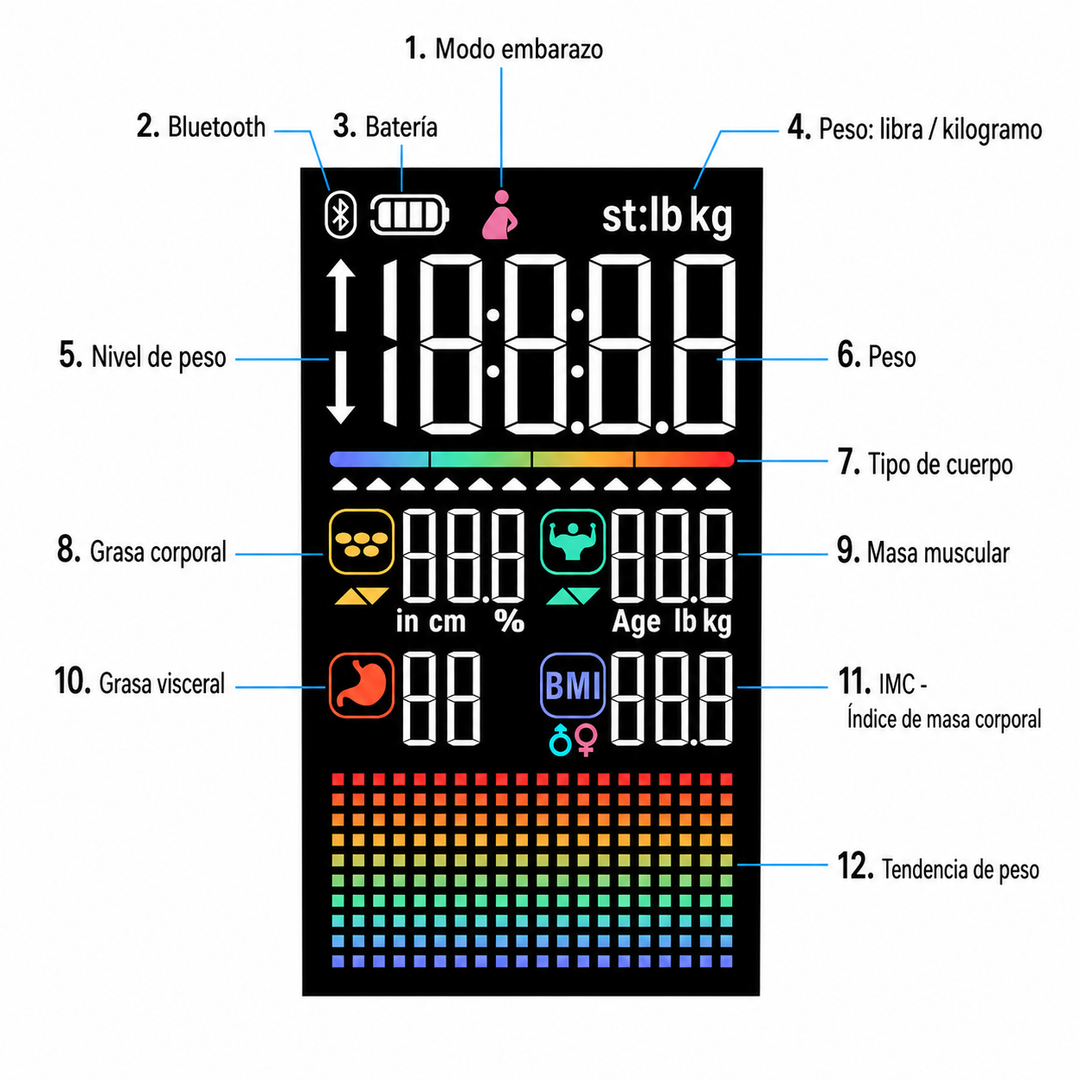 Balanza Inteligente Euromar G78-BT con 8 Electrodos y Bluetooth | Bioimpedancia Corporal con App Fitdays