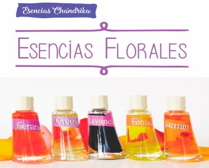 Kit de 6 Esencias aromáticas (Herbales, Frutales, Amaderados, Semillas y Especias) a escoger